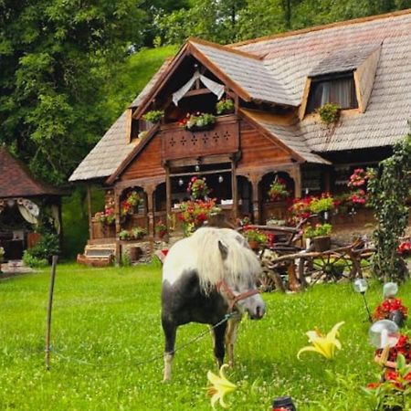 Pensiunea Rustic Oncesti エクステリア 写真