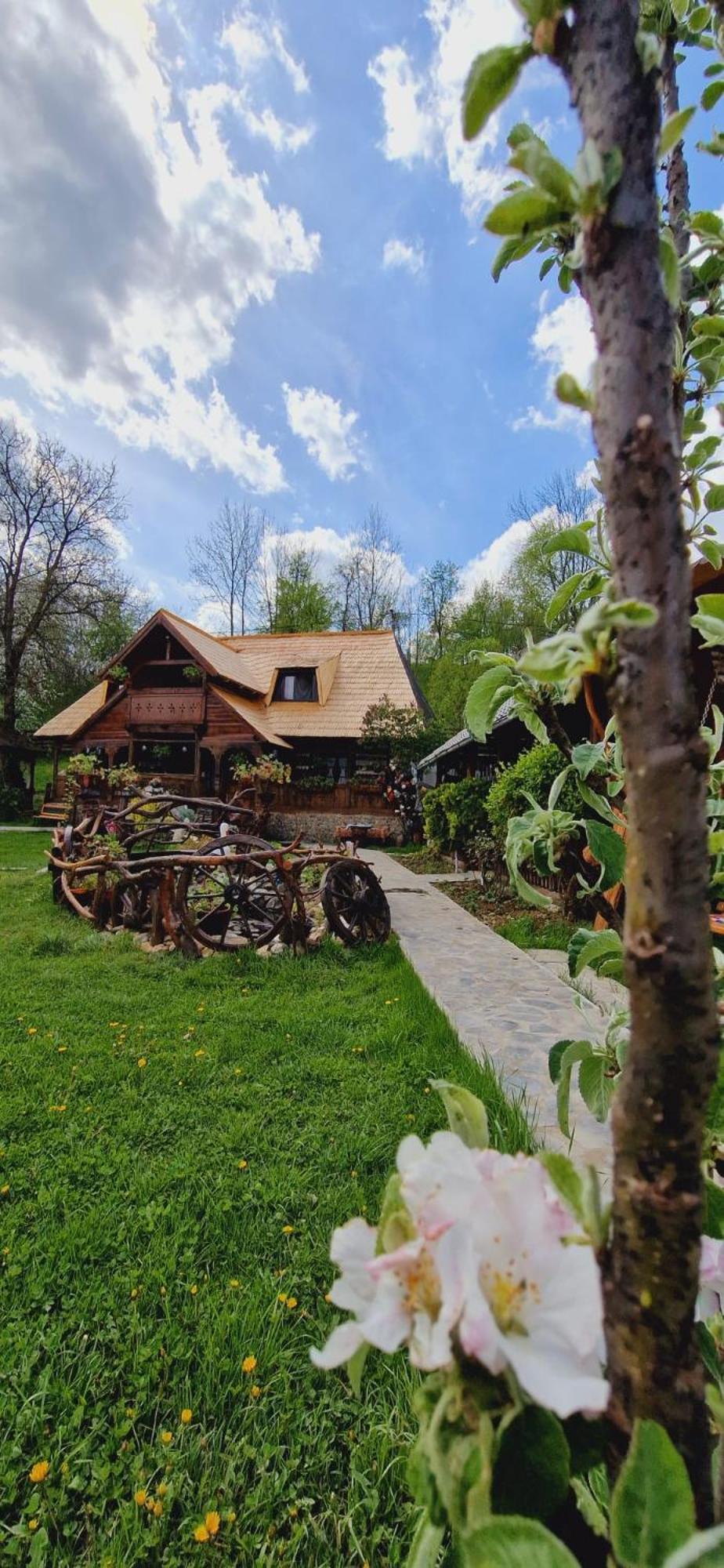 Pensiunea Rustic Oncesti エクステリア 写真