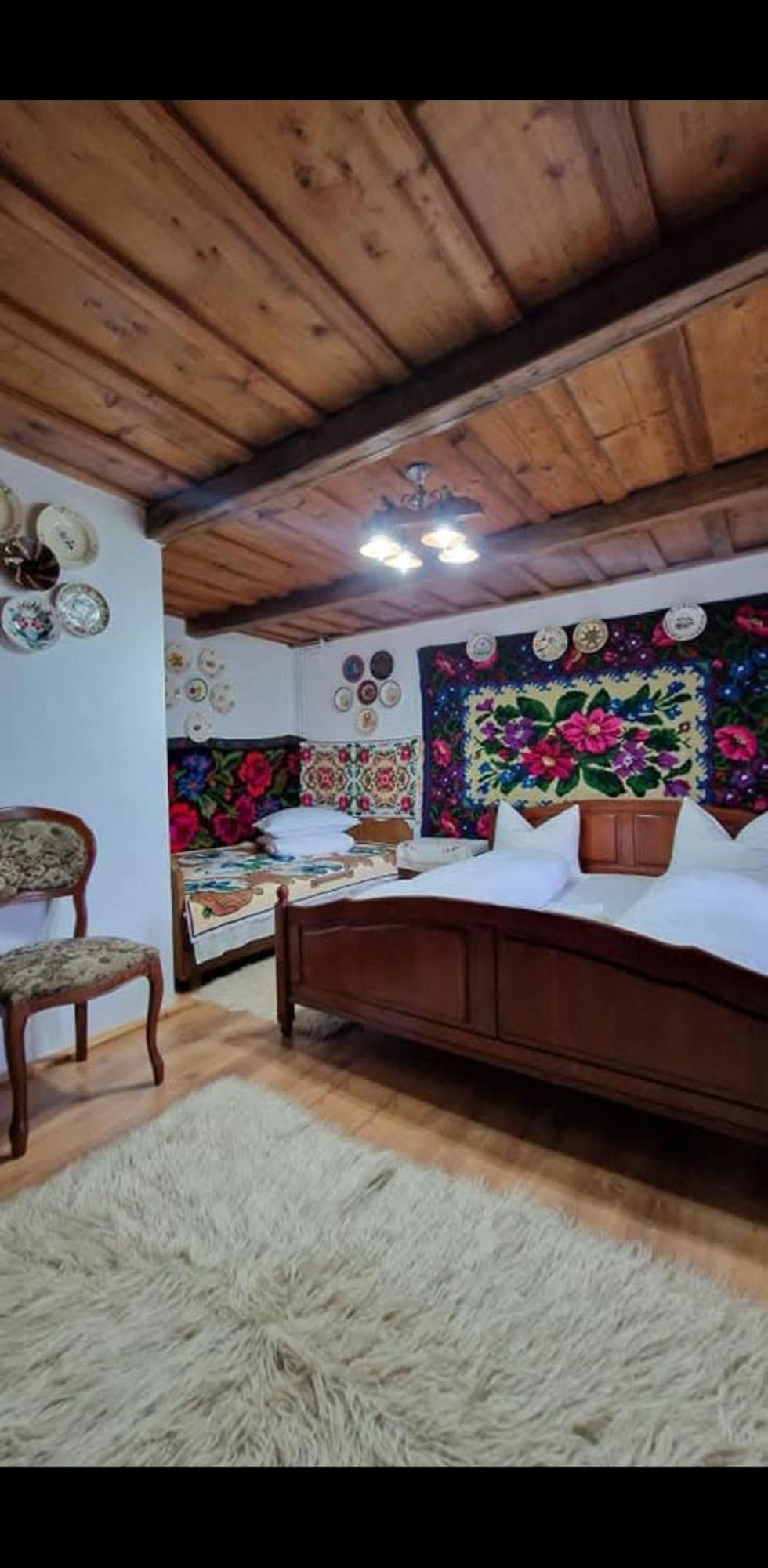 Pensiunea Rustic Oncesti エクステリア 写真