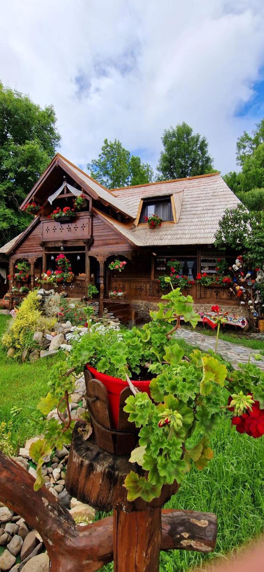 Pensiunea Rustic Oncesti エクステリア 写真