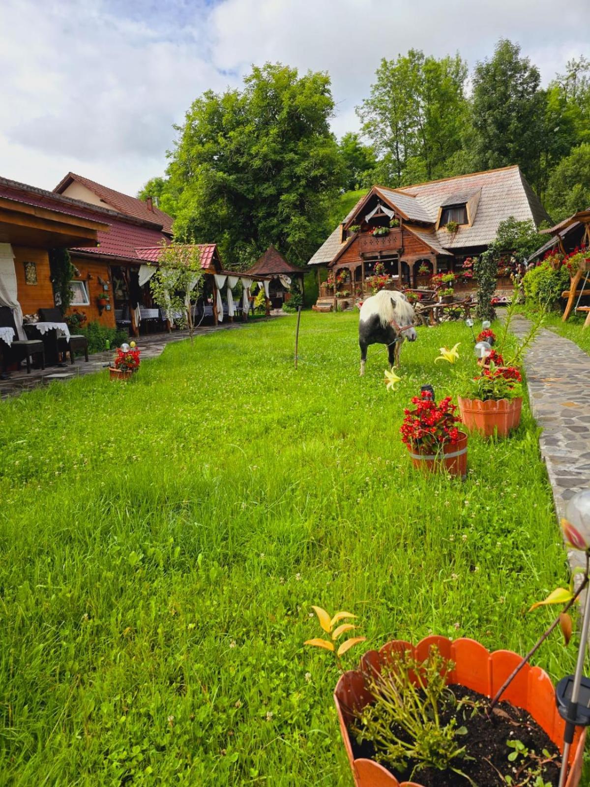 Pensiunea Rustic Oncesti エクステリア 写真